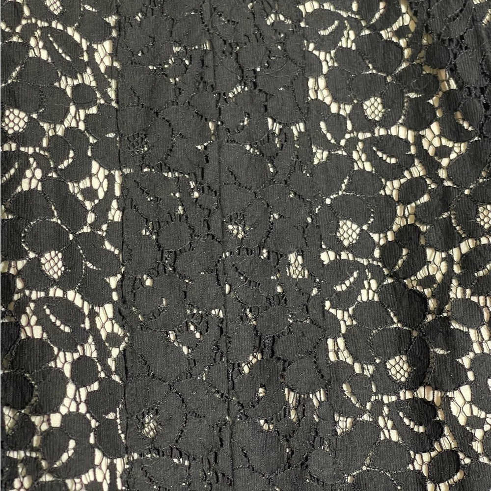 TALBOTS BLACK LACE OVERLAY HOLIDAY PLEATED A-LINE SKIRT SZ 4 EUC - Picture 3 of 11